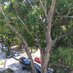 WhatsApp Image 2025-08-19 at 16.21.15 (1)