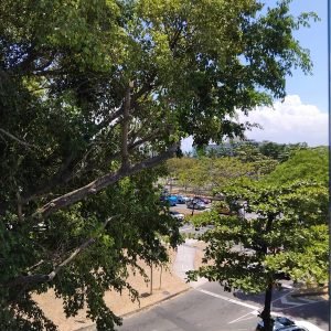 WhatsApp Image 2025-08-19 at 16.21.17