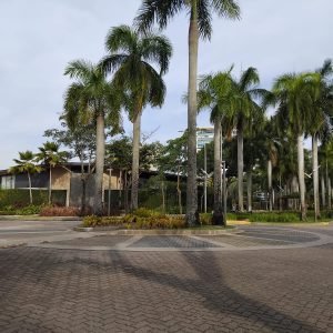 WhatsApp Image 2025-10-01 at 15.22.42 (3)