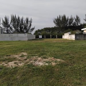 WhatsApp Image 2025-10-01 at 15.22.52 (6)