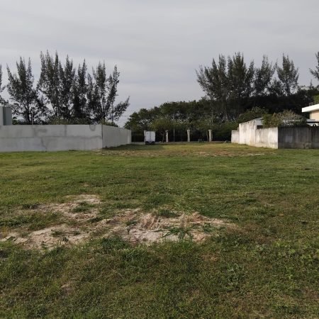 WhatsApp Image 2025-10-01 at 15.22.52 (6)