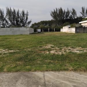 WhatsApp Image 2025-10-01 at 15.22.54